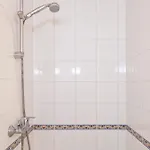 Xotilaenia